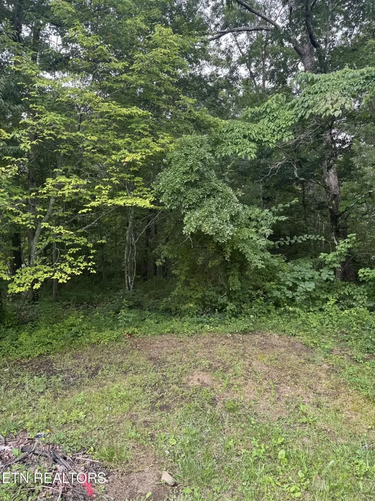 0 Timothy Drive Crossville TN 38572
