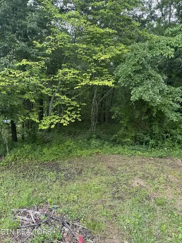 0 Timothy Drive Crossville TN 38572