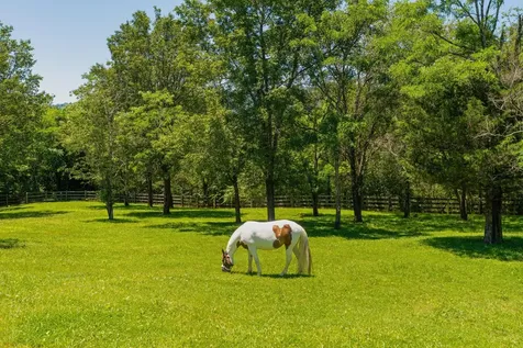 527 Reads Lake Road Chattanooga TN 37415
