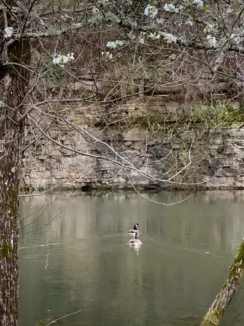527 Reads Lake Road Chattanooga TN 37415