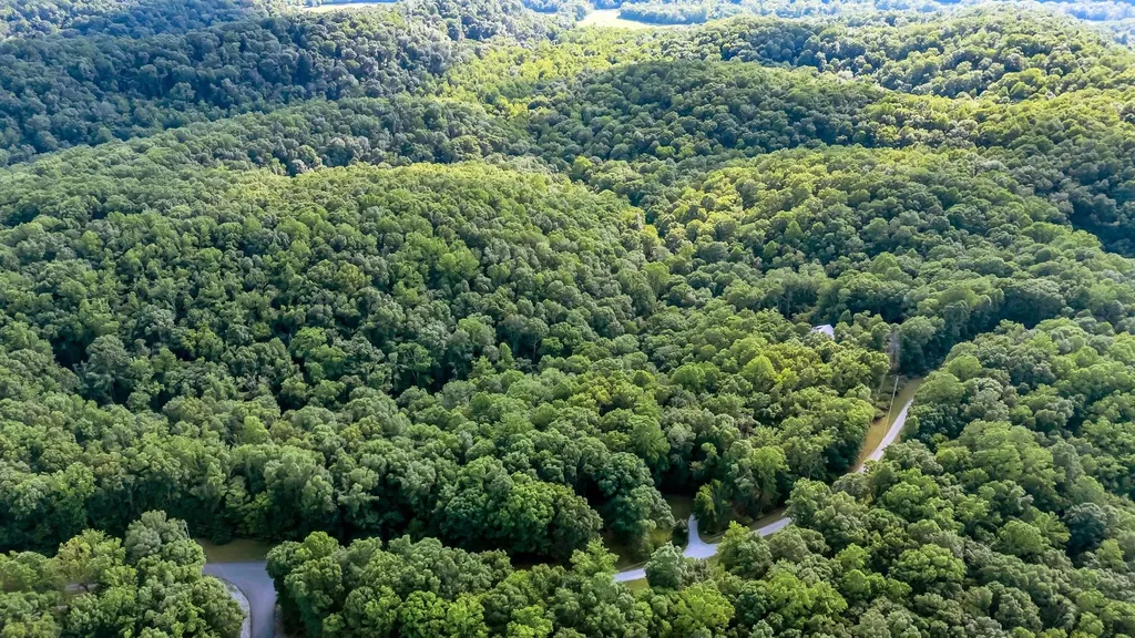 4545 Scenic Hills Lane Franklin TN 37064