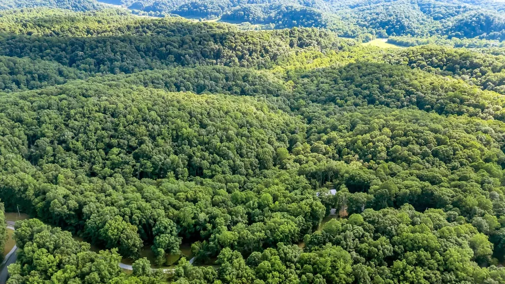 4545 Scenic Hills Lane Franklin TN 37064