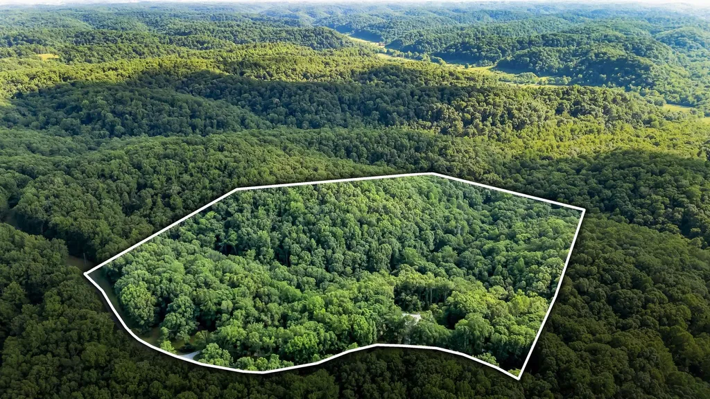 4545 Scenic Hills Lane Franklin TN 37064