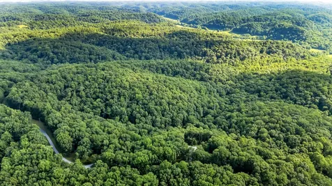 4545 Scenic Hills Lane Franklin TN 37064