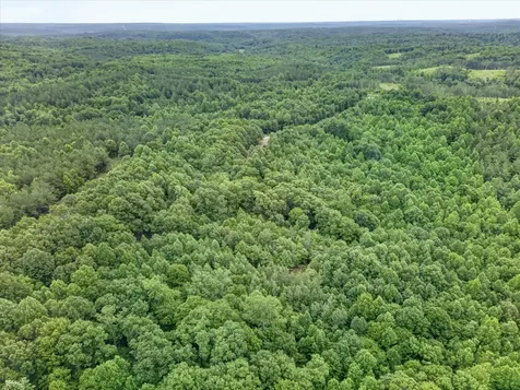0 Homestead Court Dover TN 37058