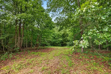 0 Homestead Court Dover TN 37058