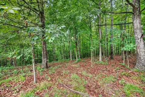 0 Homestead Court Dover TN 37058