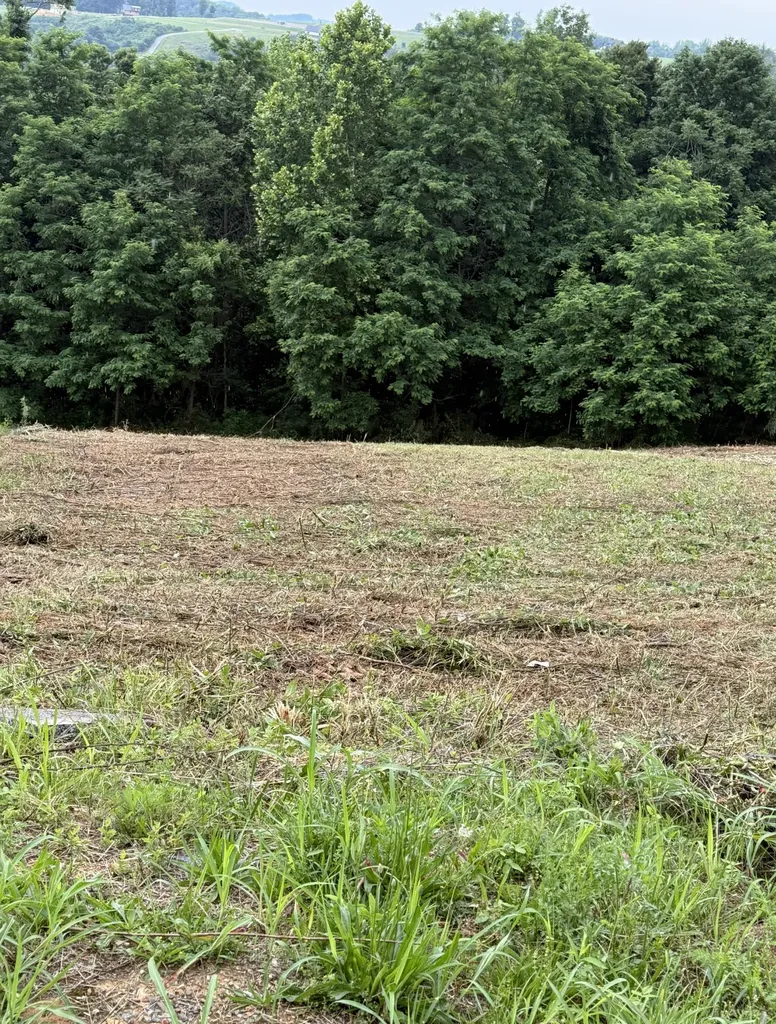 0 Mallard Road Hilham TN 38568