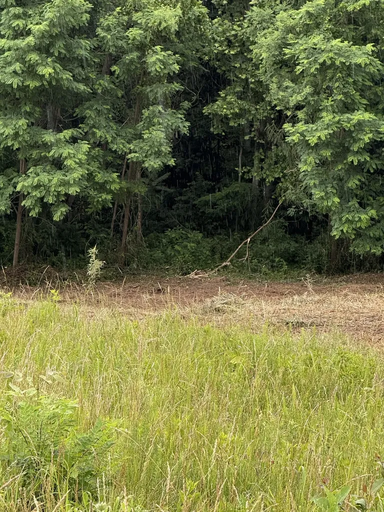 0 Mallard Road Hilham TN 38568