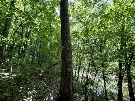 520 Bluff Road Loretto TN 38469