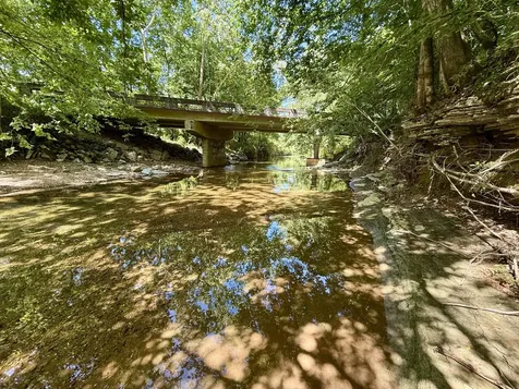520 Bluff Road Loretto TN 38469