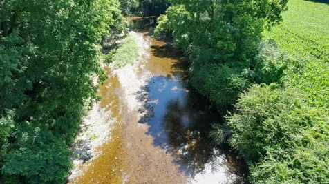 520 Bluff Road Loretto TN 38469
