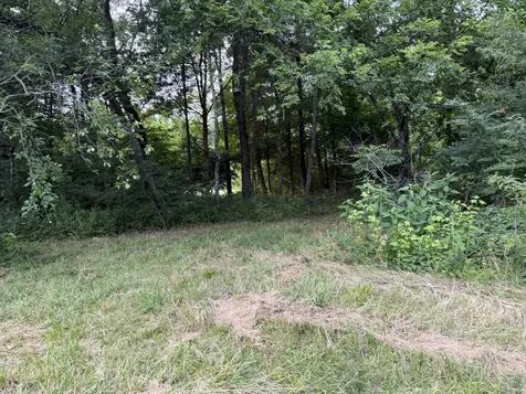 0 Dry Branch Road Holladay TN 38341