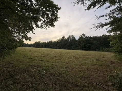 0 Dry Branch Road Holladay TN 38341