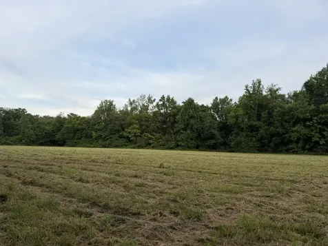 0 Dry Branch Road Holladay TN 38341