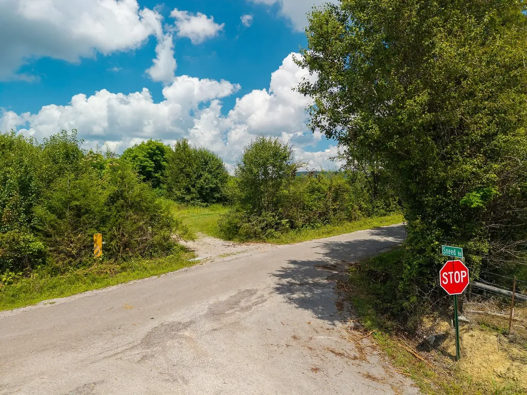 0 Gunter Road Mcminnville TN 37110