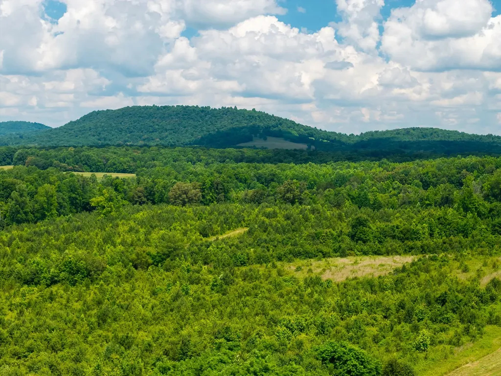 0 Gunter Road Mcminnville TN 37110