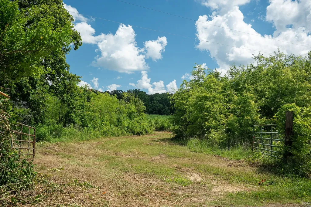 0 Gunter Road Mcminnville TN 37110