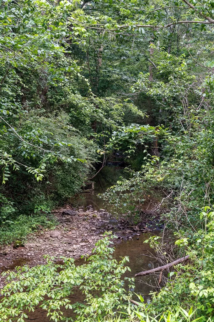 0 Gunter Road Mcminnville TN 37110