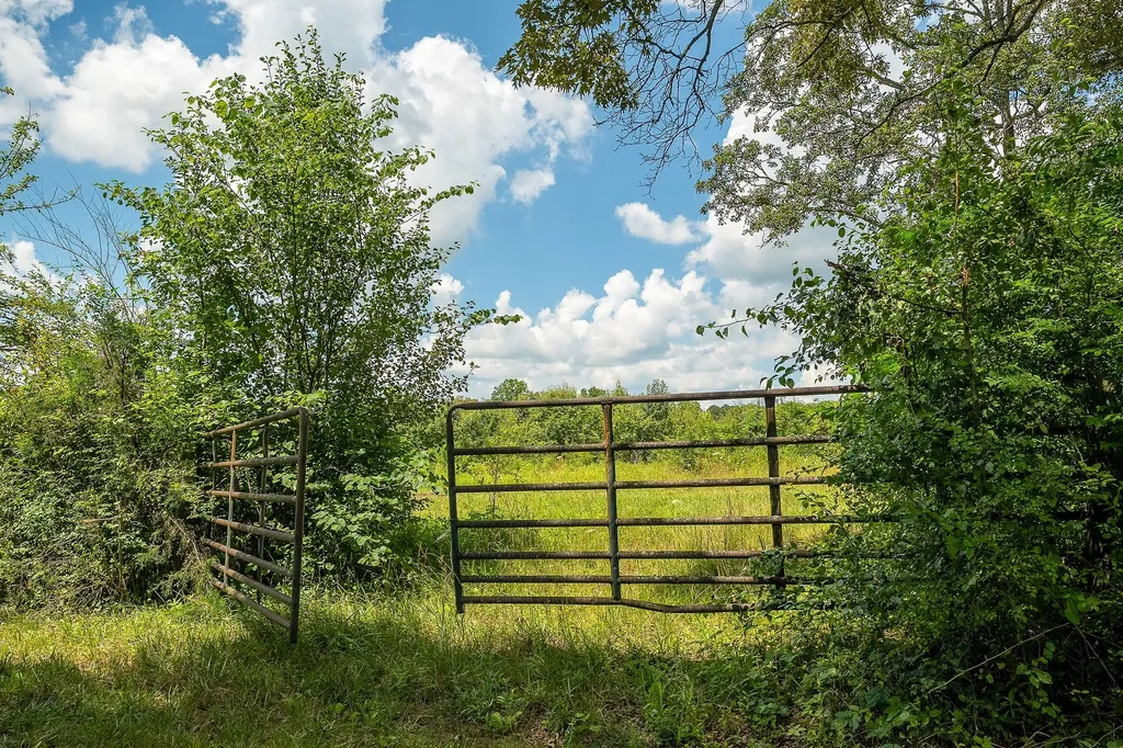 0 Gunter Road Mcminnville TN 37110