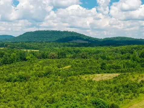 0 Gunter Road Mcminnville TN 37110