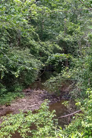 0 Gunter Road Mcminnville TN 37110