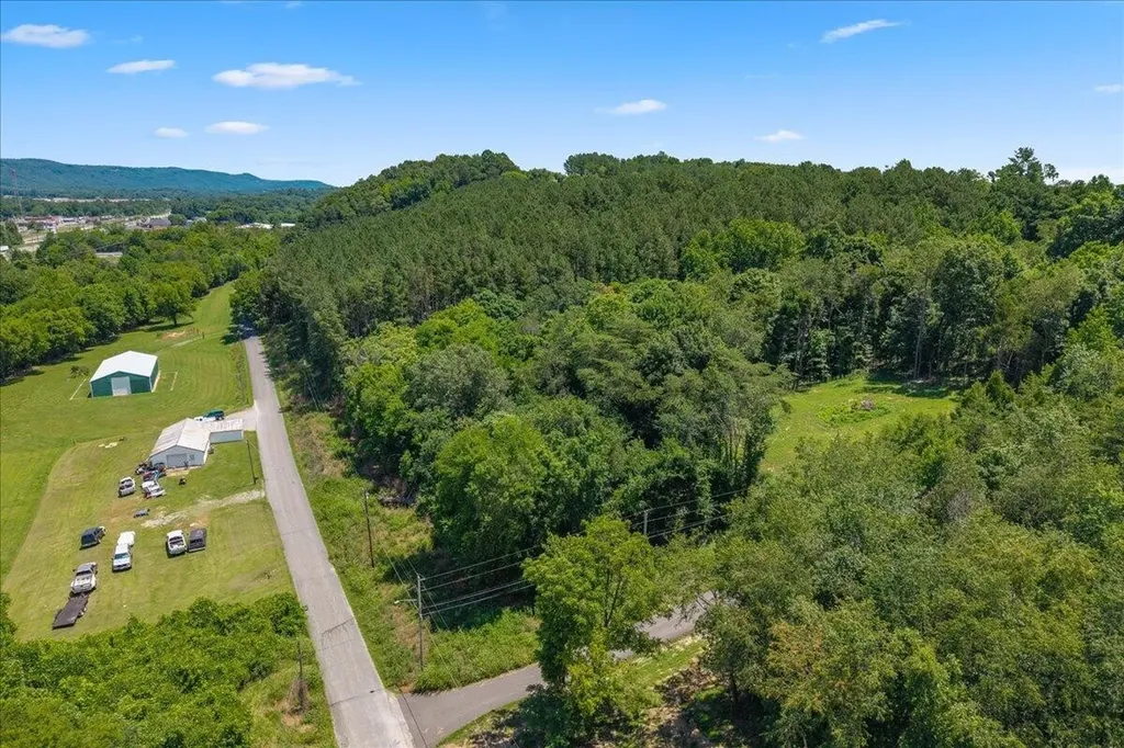 2324 Hinch Street Spring City TN 37381