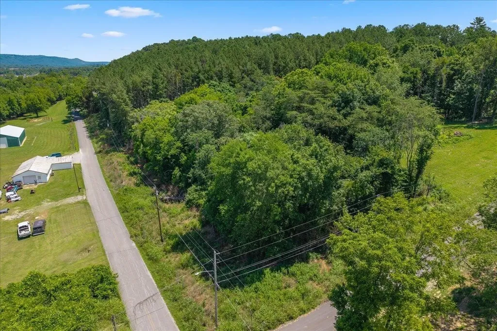 2324 Hinch Street Spring City TN 37381