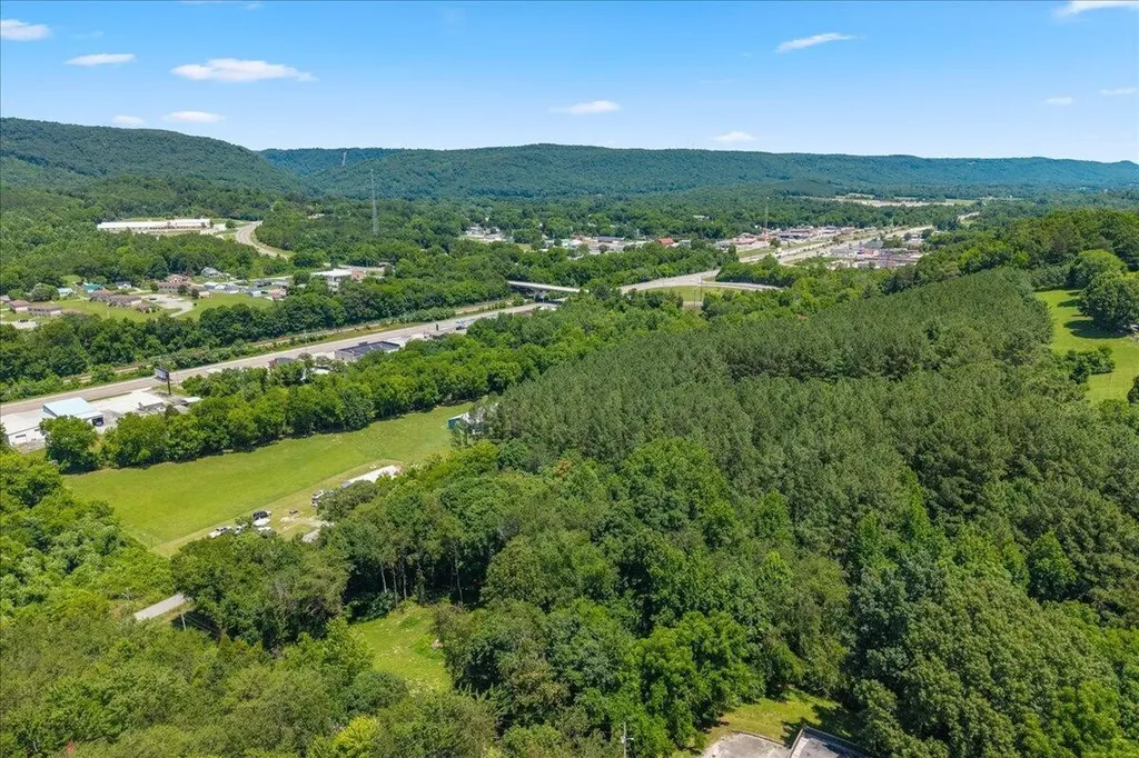2324 Hinch Street Spring City TN 37381