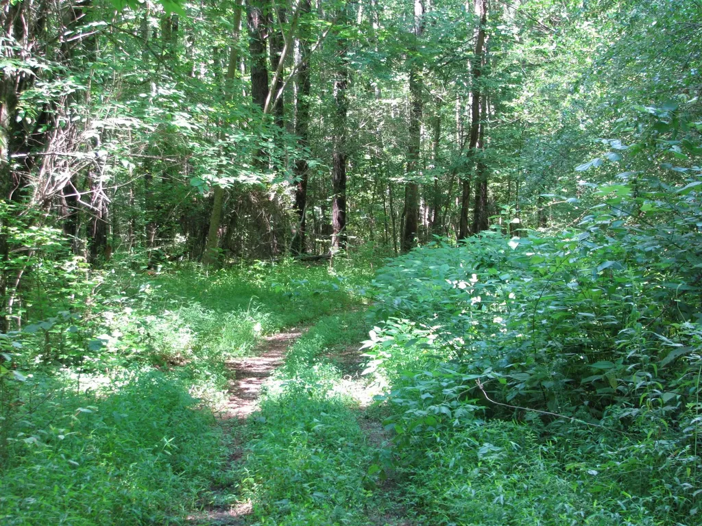0 Matthews Hollow Road Waverly TN 37185