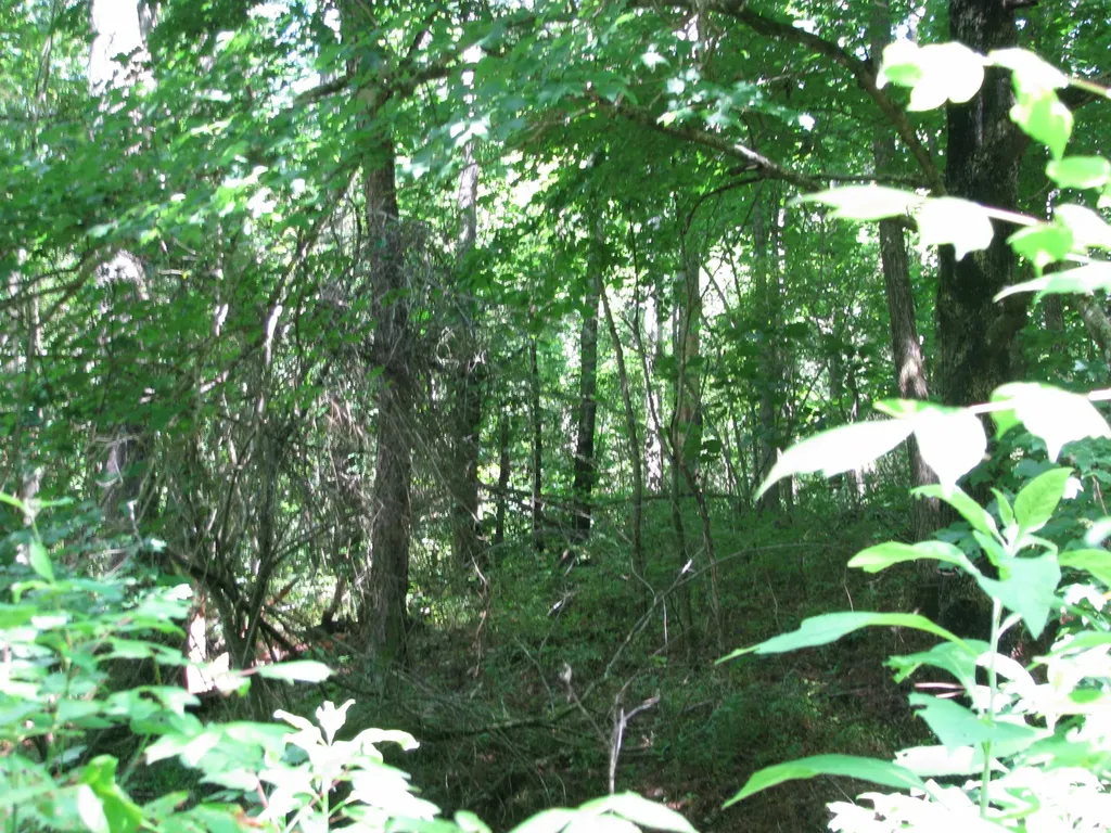 0 Matthews Hollow Road Waverly TN 37185