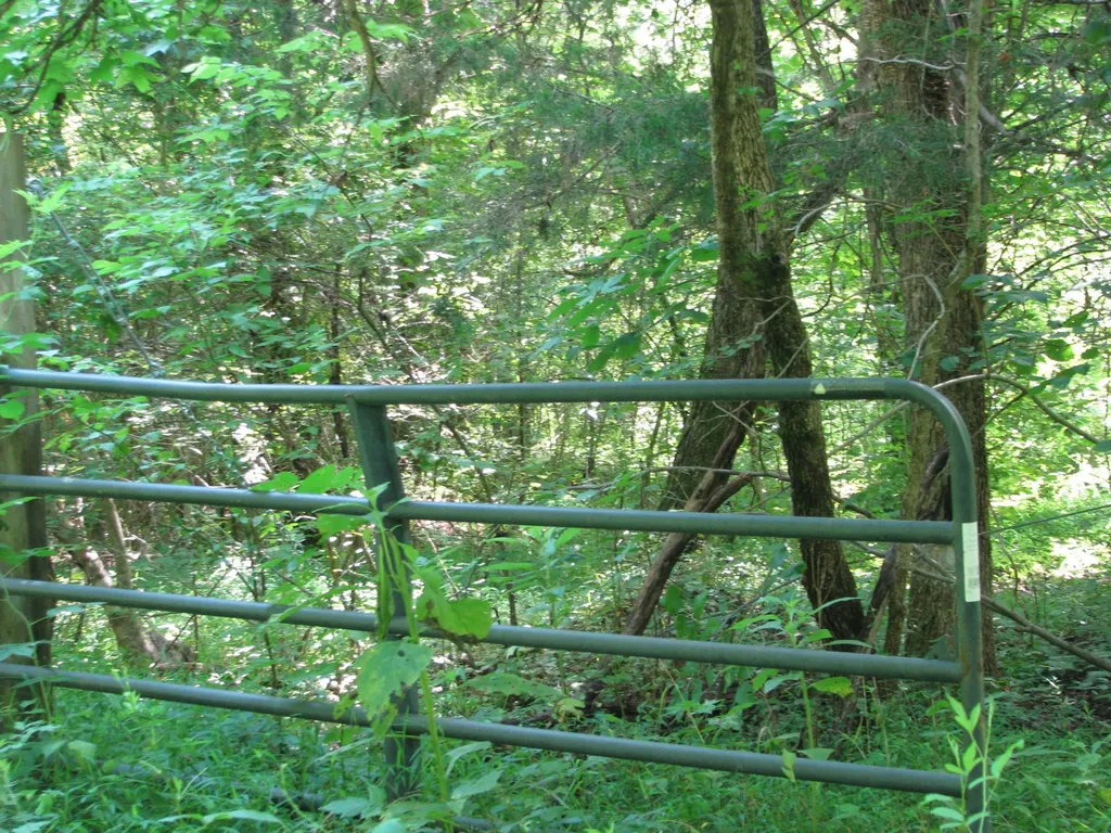 0 Matthews Hollow Road Waverly TN 37185