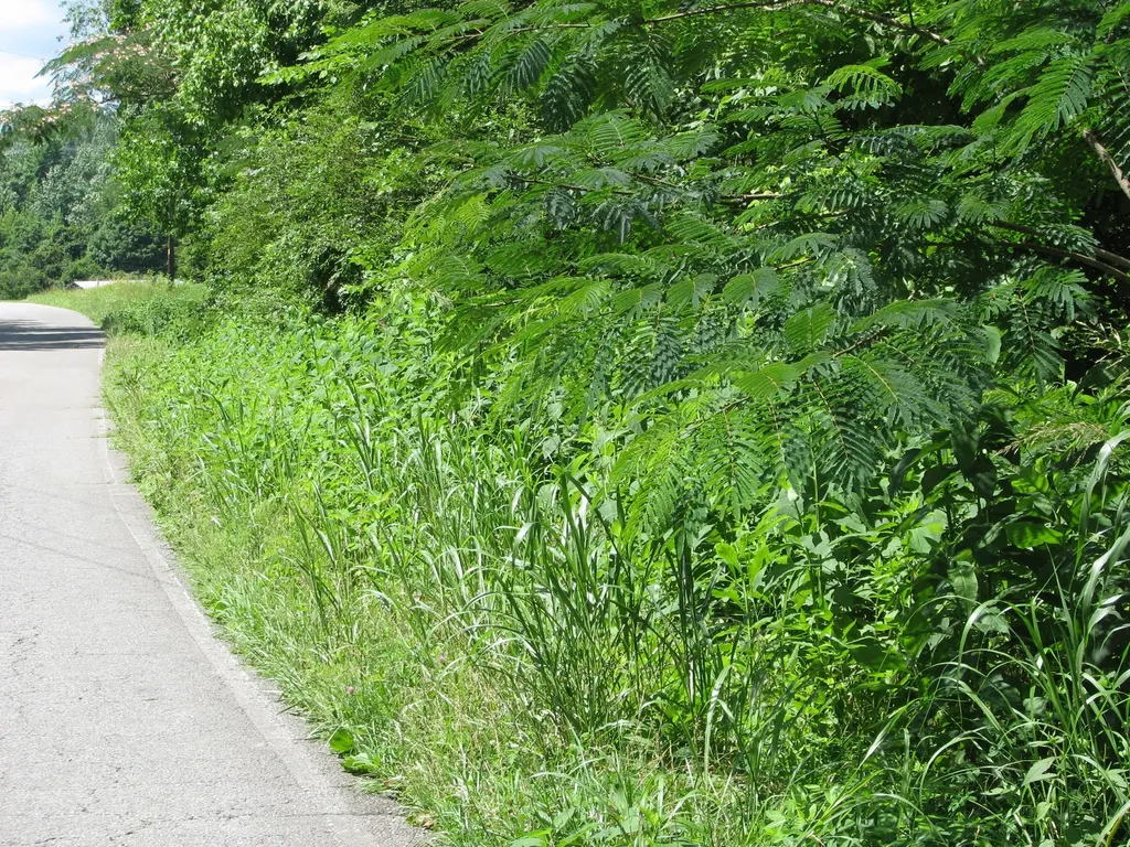 0 Matthews Hollow Road Waverly TN 37185