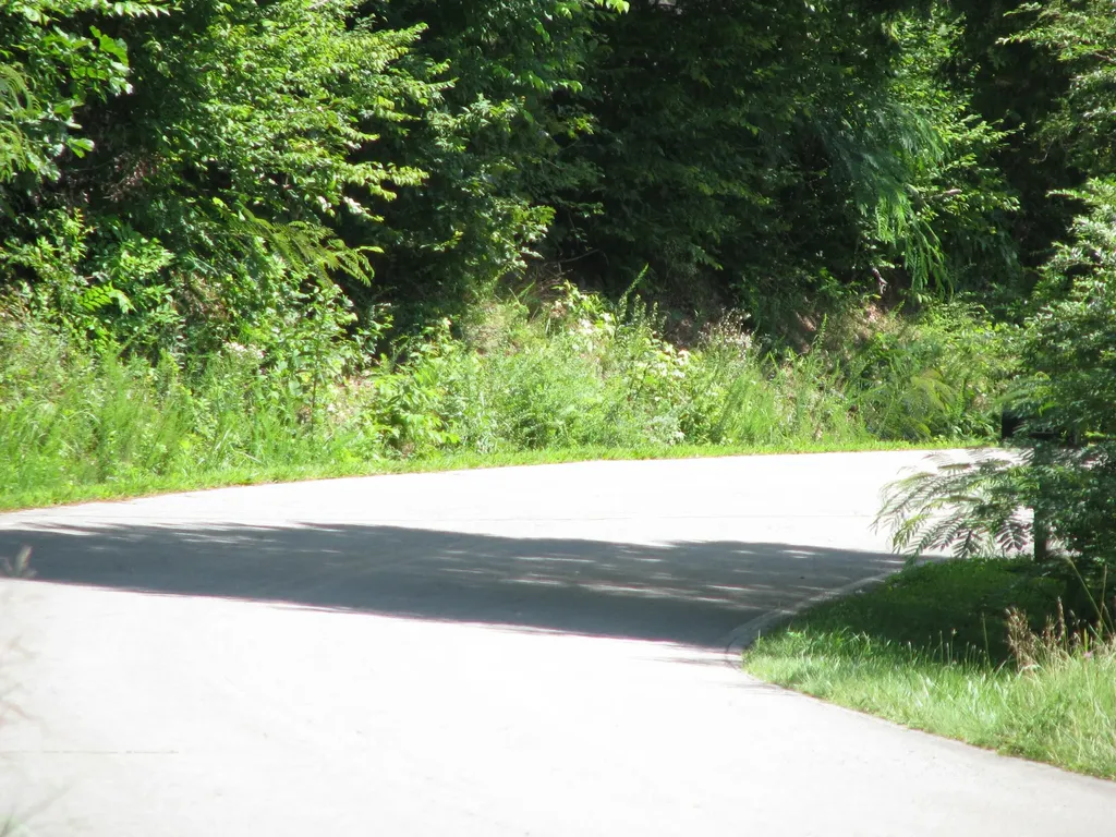 0 Matthews Hollow Road Waverly TN 37185