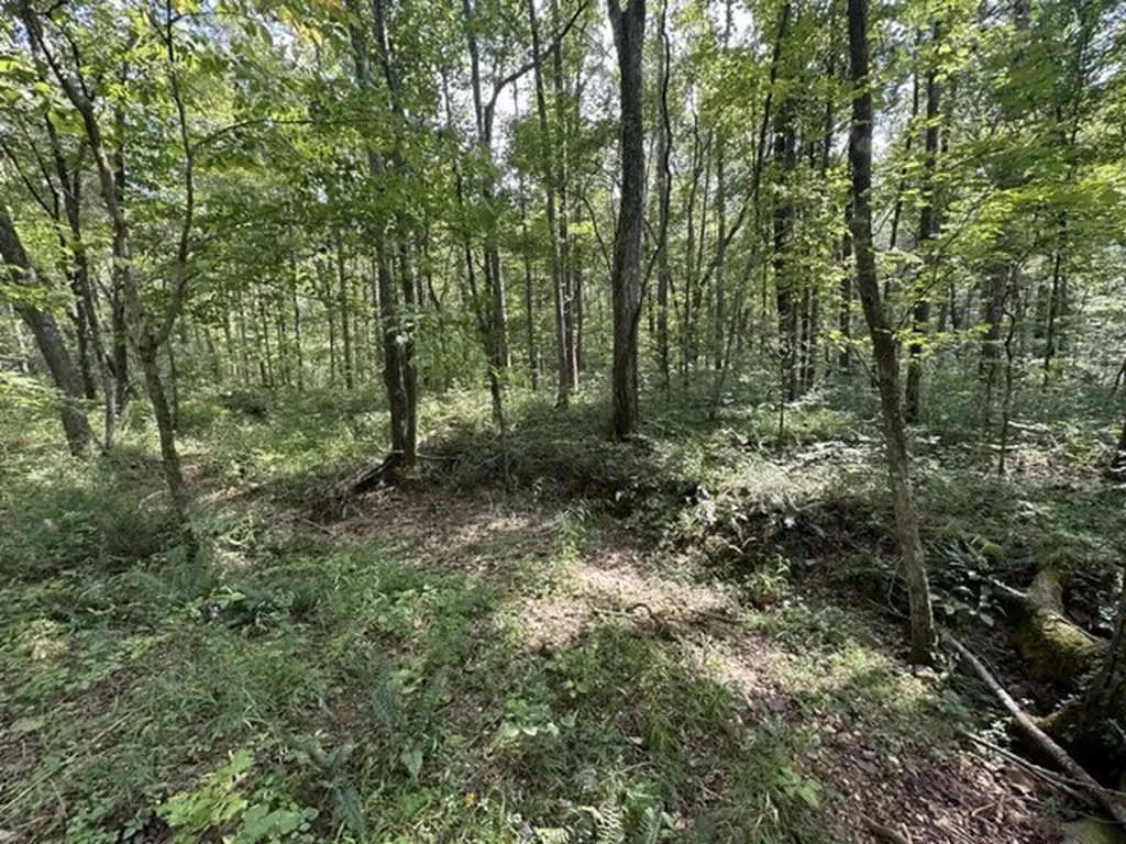 0 Matthews Hollow Road Waverly TN 37185