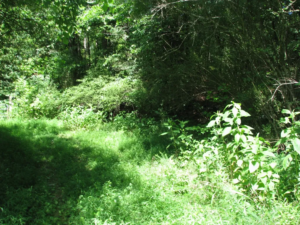 0 Matthews Hollow Road Waverly TN 37185
