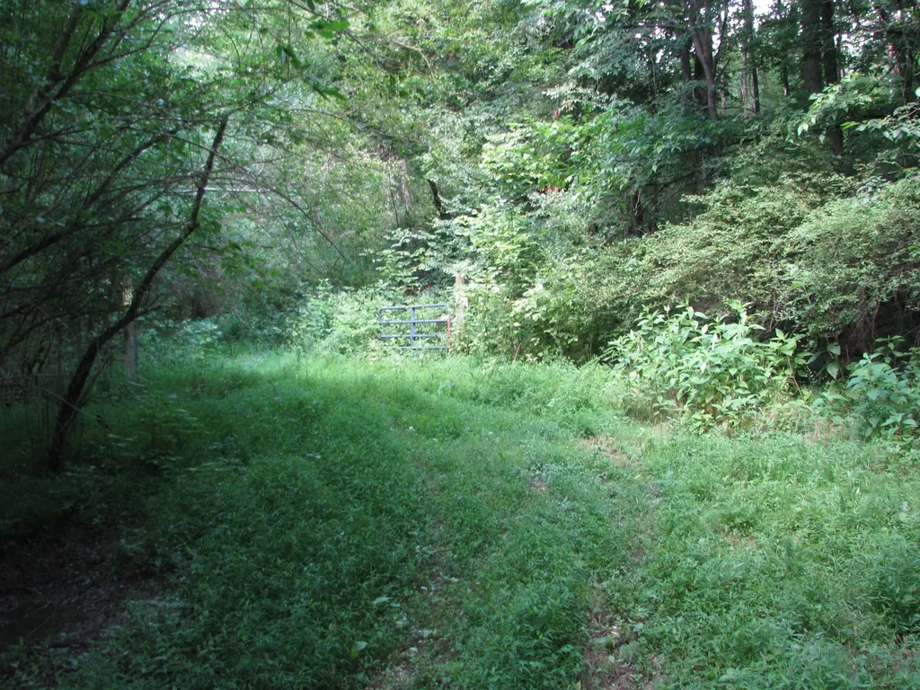 0 Matthews Hollow Road Waverly TN 37185