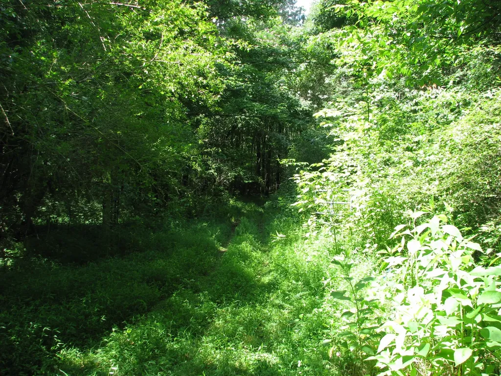 0 Matthews Hollow Road Waverly TN 37185