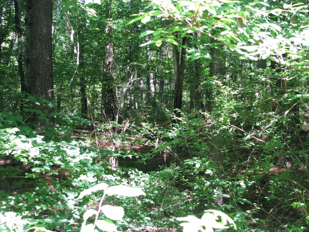 0 Matthews Hollow Road Waverly TN 37185