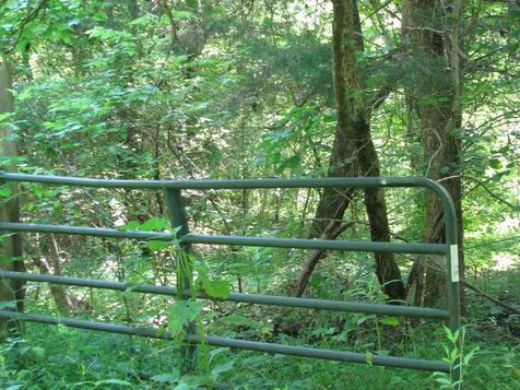 0 Matthews Hollow Road Waverly TN 37185