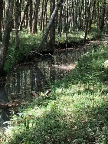 0 Matthews Hollow Road Waverly TN 37185