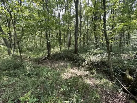 0 Matthews Hollow Road Waverly TN 37185