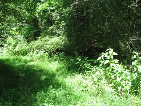 0 Matthews Hollow Road Waverly TN 37185