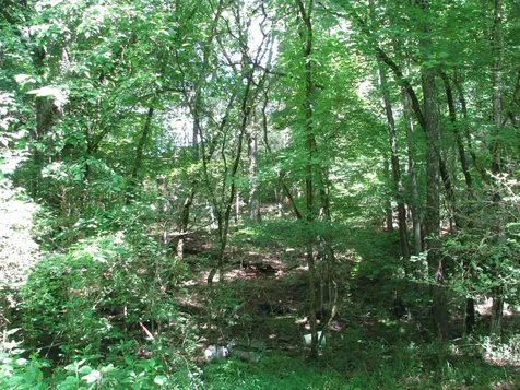 0 Matthews Hollow Road Waverly TN 37185