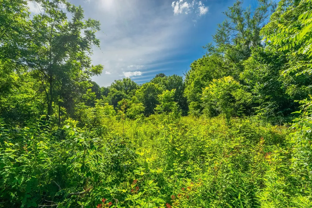 15 Highland Road Orlinda TN 37141