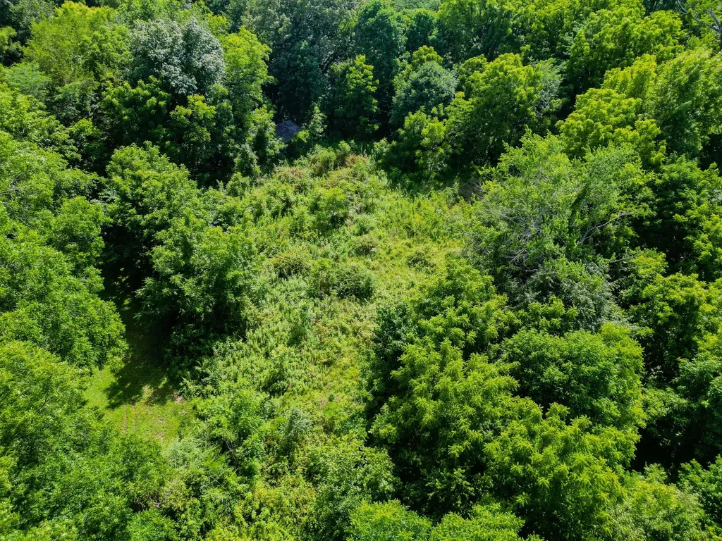 15 Highland Road Orlinda TN 37141