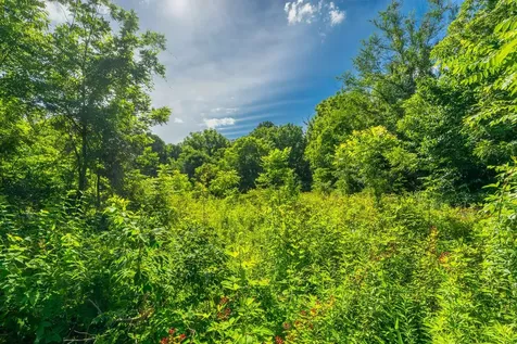 15 Highland Road Orlinda TN 37141