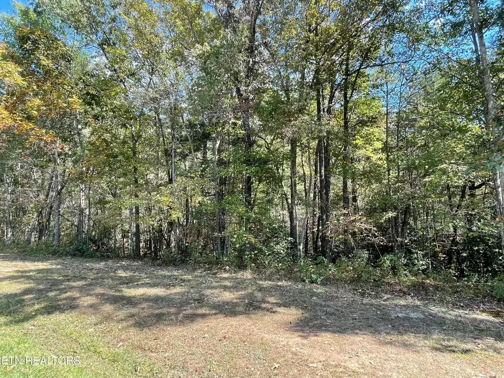 130 Stillington Loop Crossville TN 38558