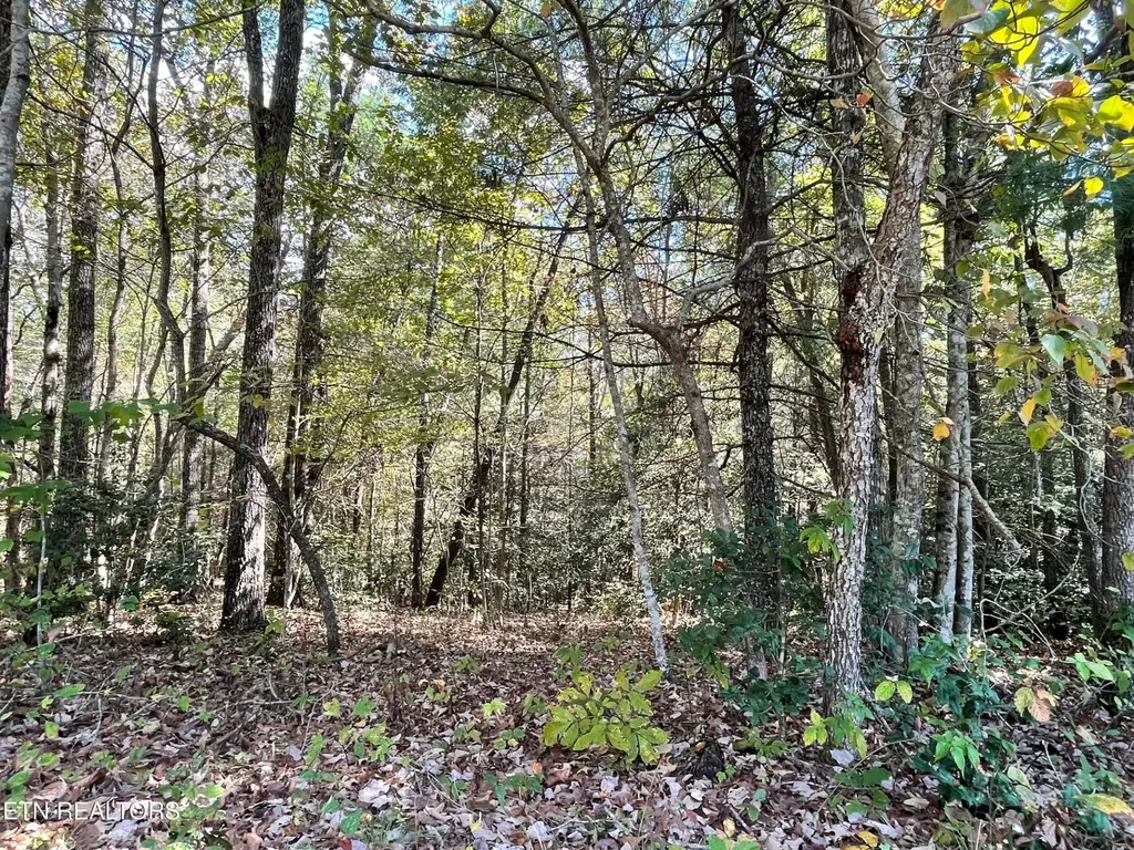 130 Stillington Loop Crossville TN 38558