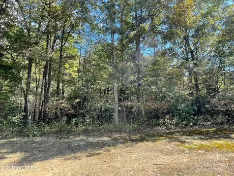 130 Stillington Loop Crossville TN 38558